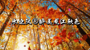 ◙ 2025年10月18---19日 水之队®【原创•龙江醉美秋色采风摄影之旅】红叶王国秘境✤龙江秋天醉美的红叶长廊·红叶岭、红叶谷、红叶湾✤中国雪谷秋色五花山✤石门探秘✤奥林匹克公园✤2日采风摄影登山之旅【268元】